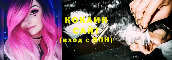 сатива Нягань