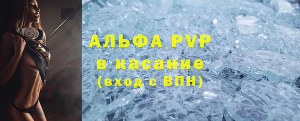сатива Нягань