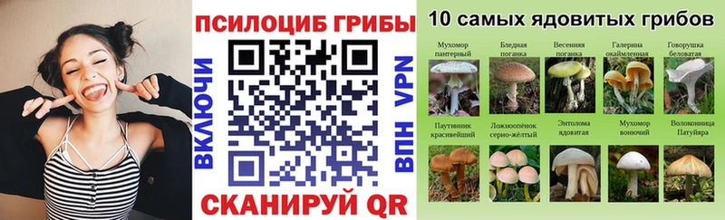 продажа наркотиков  Бежецк  Псилоцибиновые грибы прущие грибы 